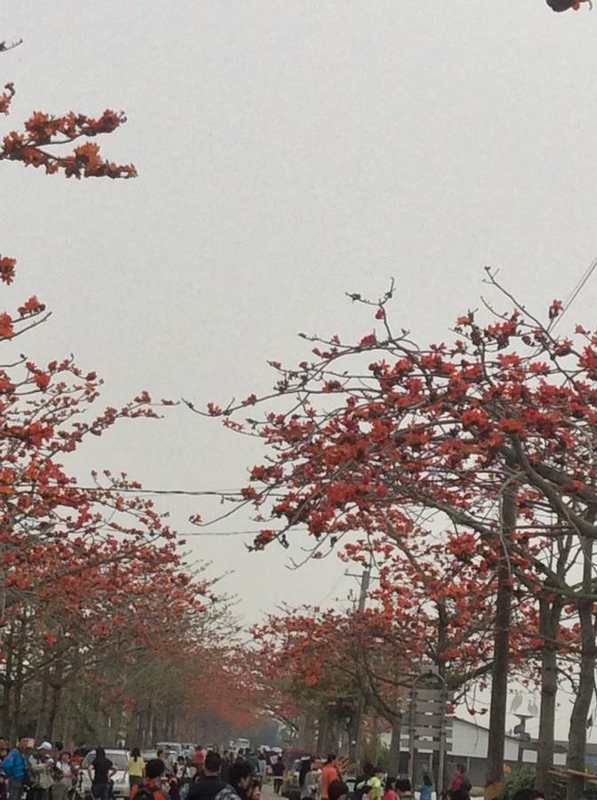 84 In Tainan Ξενοδοχείο Εξωτερικό φωτογραφία